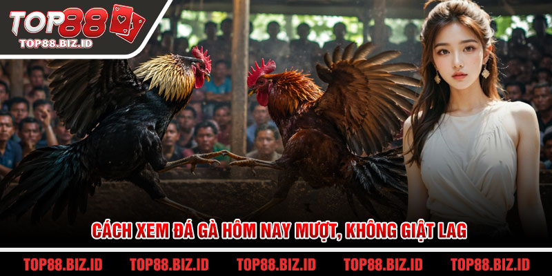 Cách xem đá gà hôm nay mượt, không giật lag