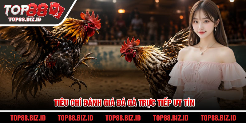 Tiêu chí đánh giá đá gà trực tiếp uy tín