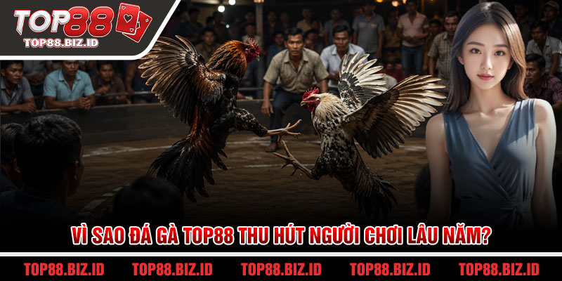 Vì sao đá gà Top88 thu hút người chơi lâu năm?