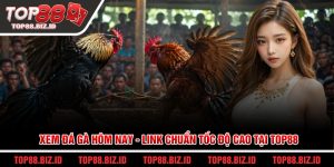 Xem đá gà hôm nay - Link chuẩn tốc độ cao tại Top88